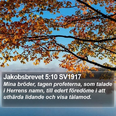 Jakobsbrevet 5:10 SV1917 Bible Verse Image