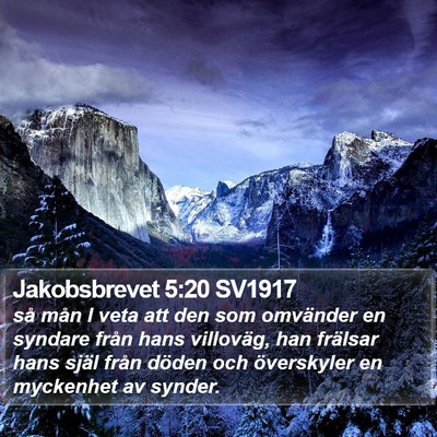Jakobsbrevet 5:20 SV1917 Bible Verse Image