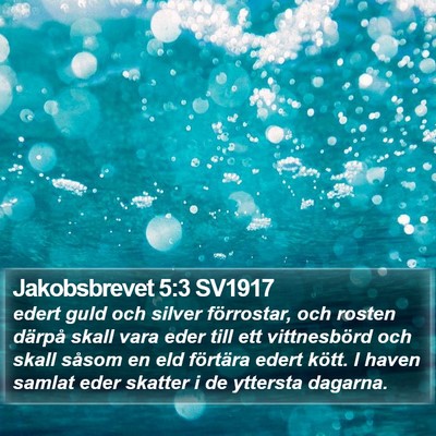 Jakobsbrevet 5:3 SV1917 Bible Verse Image
