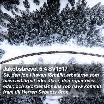 Jakobsbrevet 5:4 SV1917 Bible Verse Image