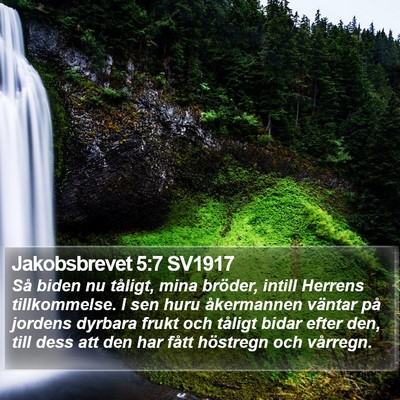 Jakobsbrevet 5:7 SV1917 Bible Verse Image