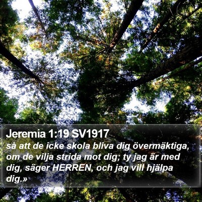 Jeremia 1:19 SV1917 Bible Verse Image