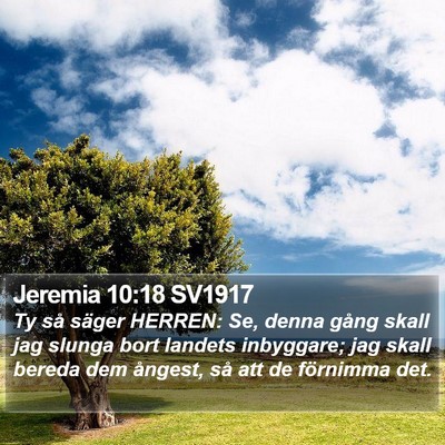 Jeremia 10:18 SV1917 Bible Verse Image