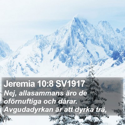 Jeremia 10:8 SV1917 Bible Verse Image