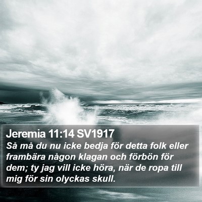 Jeremia 11:14 SV1917 Bible Verse Image