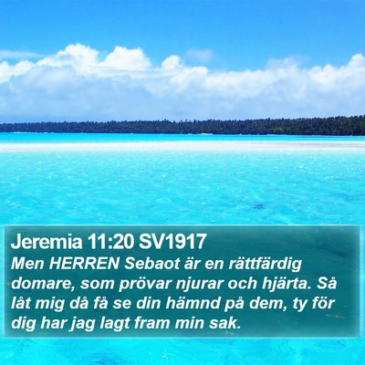 Jeremia 11:20 SV1917 Bible Verse Image