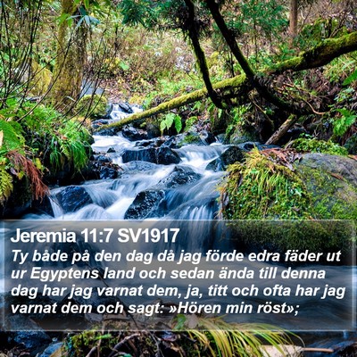 Jeremia 11:7 SV1917 Bible Verse Image