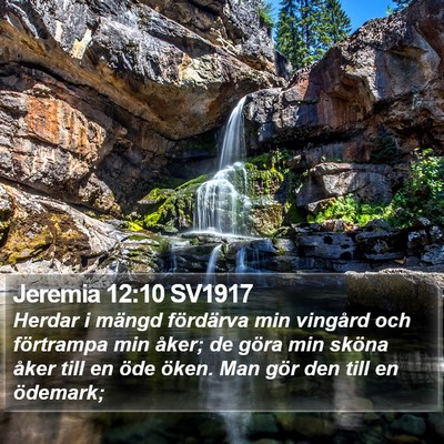 Jeremia 12:10 SV1917 Bible Verse Image