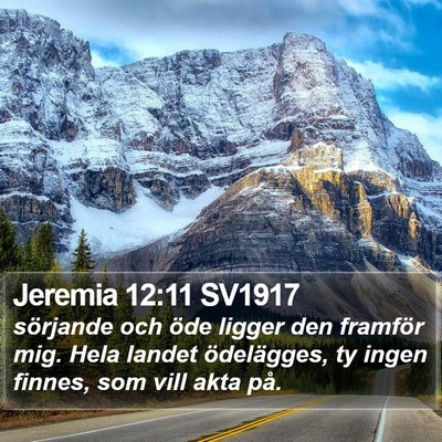 Jeremia 12:11 SV1917 Bible Verse Image
