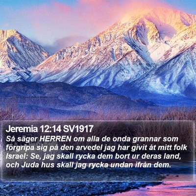 Jeremia 12:14 SV1917 Bible Verse Image