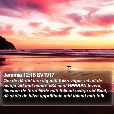 Jeremia 12:16 SV1917 Bible Verse Image