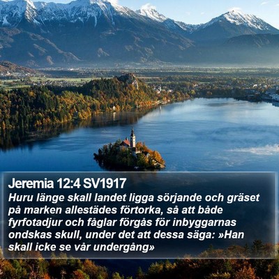 Jeremia 12:4 SV1917 Bible Verse Image