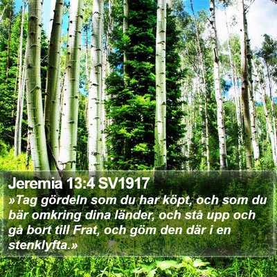 Jeremia 13:4 SV1917 Bible Verse Image