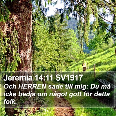 Jeremia 14:11 SV1917 Bible Verse Image