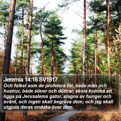 Jeremia 14:16 SV1917 Bible Verse Image