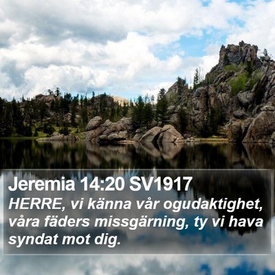 Jeremia 14:20 SV1917 Bible Verse Image