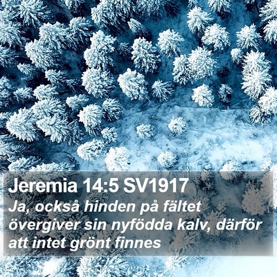 Jeremia 14:5 SV1917 Bible Verse Image