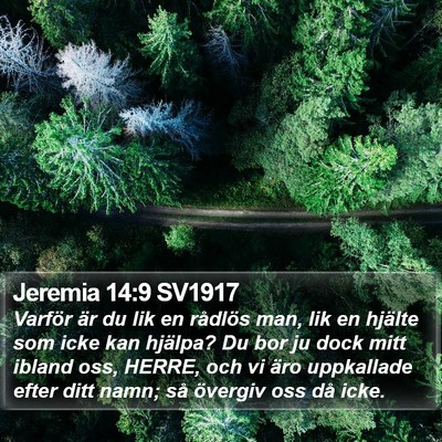 Jeremia 14:9 SV1917 Bible Verse Image