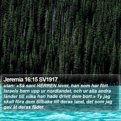 Jeremia 16:15 SV1917 Bible Verse Image
