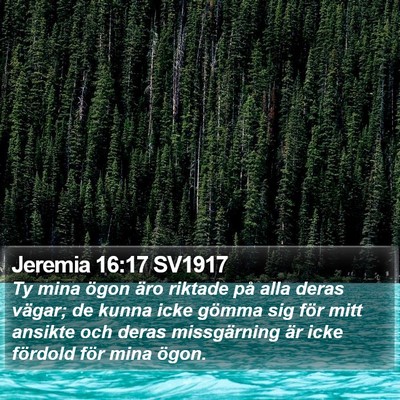 Jeremia 16:17 SV1917 Bible Verse Image