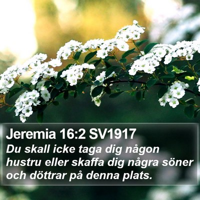 Jeremia 16:2 SV1917 Bible Verse Image