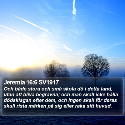 Jeremia 16:6 SV1917 Bible Verse Image