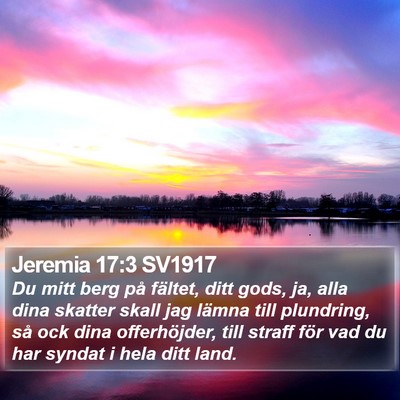 Jeremia 17:3 SV1917 Bible Verse Image