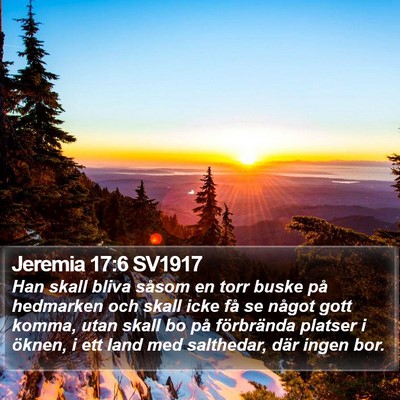 Jeremia 17:6 SV1917 Bible Verse Image
