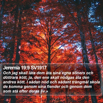 Jeremia 19:9 SV1917 Bible Verse Image
