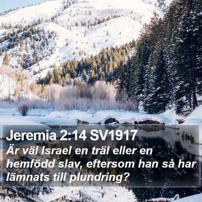 Jeremia 2:14 SV1917 Bible Verse Image