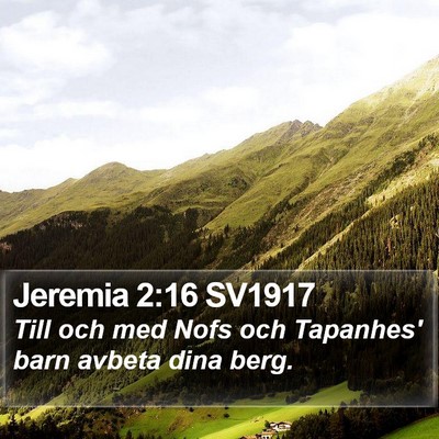 Jeremia 2:16 SV1917 Bible Verse Image