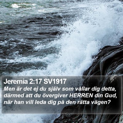 Jeremia 2:17 SV1917 Bible Verse Image