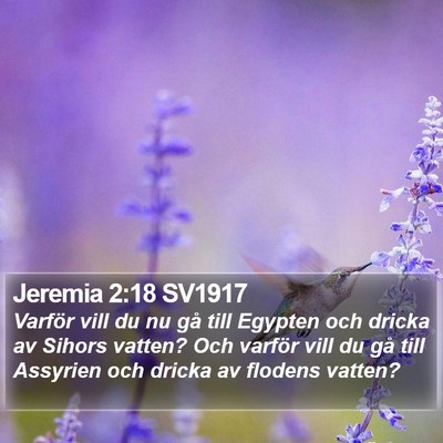 Jeremia 2:18 SV1917 Bible Verse Image