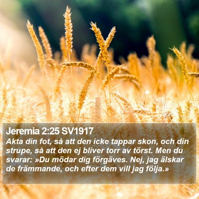 Jeremia 2:25 SV1917 Bible Verse Image