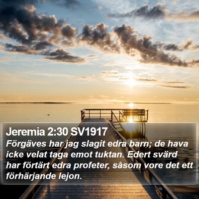 Jeremia 2:30 SV1917 Bible Verse Image