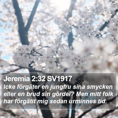 Jeremia 2:32 SV1917 Bible Verse Image