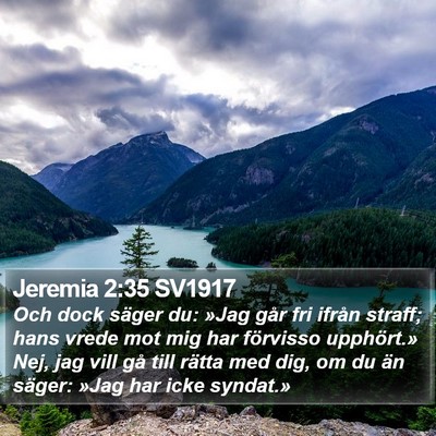 Jeremia 2:35 SV1917 Bible Verse Image