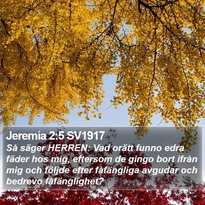 Jeremia 2:5 SV1917 Bible Verse Image