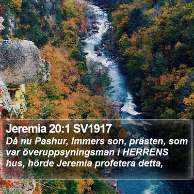 Jeremia 20:1 SV1917 Bible Verse Image