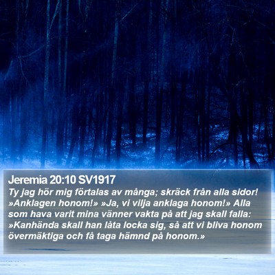 Jeremia 20:10 SV1917 Bible Verse Image