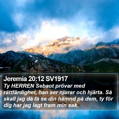Jeremia 20:12 SV1917 Bible Verse Image
