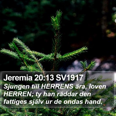 Jeremia 20:13 SV1917 Bible Verse Image