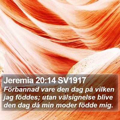 Jeremia 20:14 SV1917 Bible Verse Image