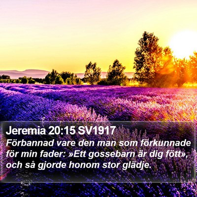 Jeremia 20:15 SV1917 Bible Verse Image