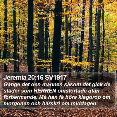 Jeremia 20:16 SV1917 Bible Verse Image