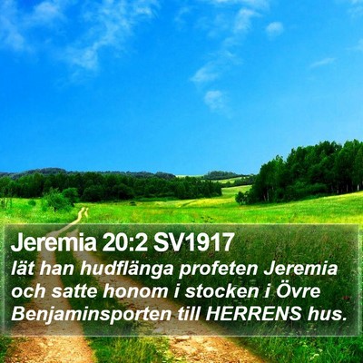 Jeremia 20:2 SV1917 Bible Verse Image