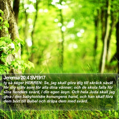 Jeremia 20:4 SV1917 Bible Verse Image