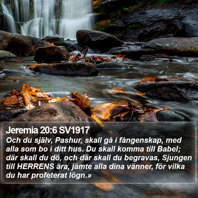 Jeremia 20:6 SV1917 Bible Verse Image