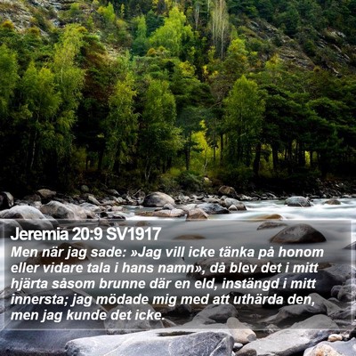 Jeremia 20:9 SV1917 Bible Verse Image