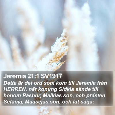 Jeremia 21:1 SV1917 Bible Verse Image